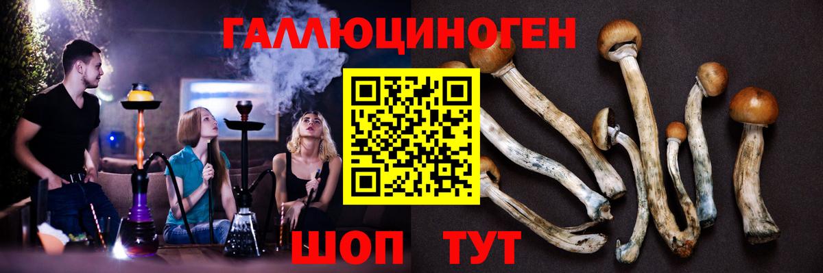 Галлюциногенные грибы Cubensis Качканар