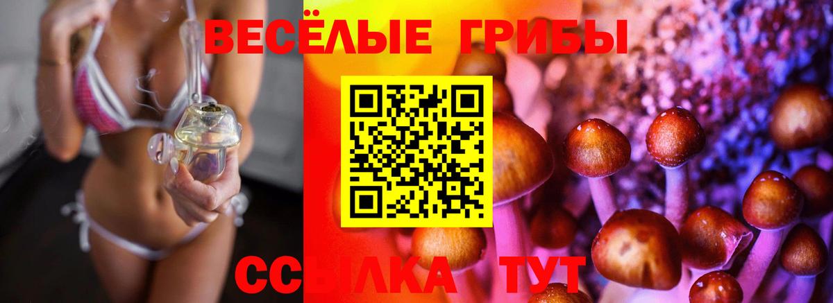 цены наркотик  Вход с VPN  Качканар  Галлюциногенные грибы Psilocybe 