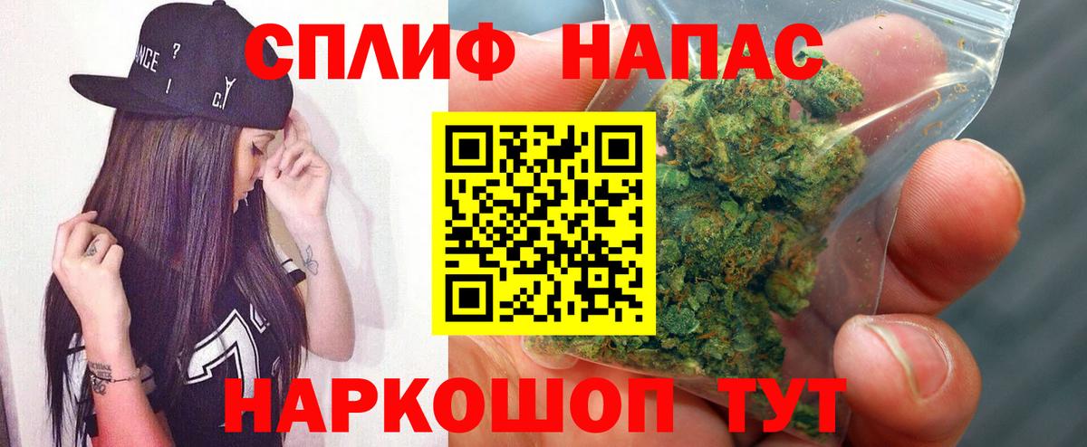 Конопля план  Конопля сатива  Вход с VPN  Марихуана ГИДРОПОН  Конопля Bruce Banner  Качканар 